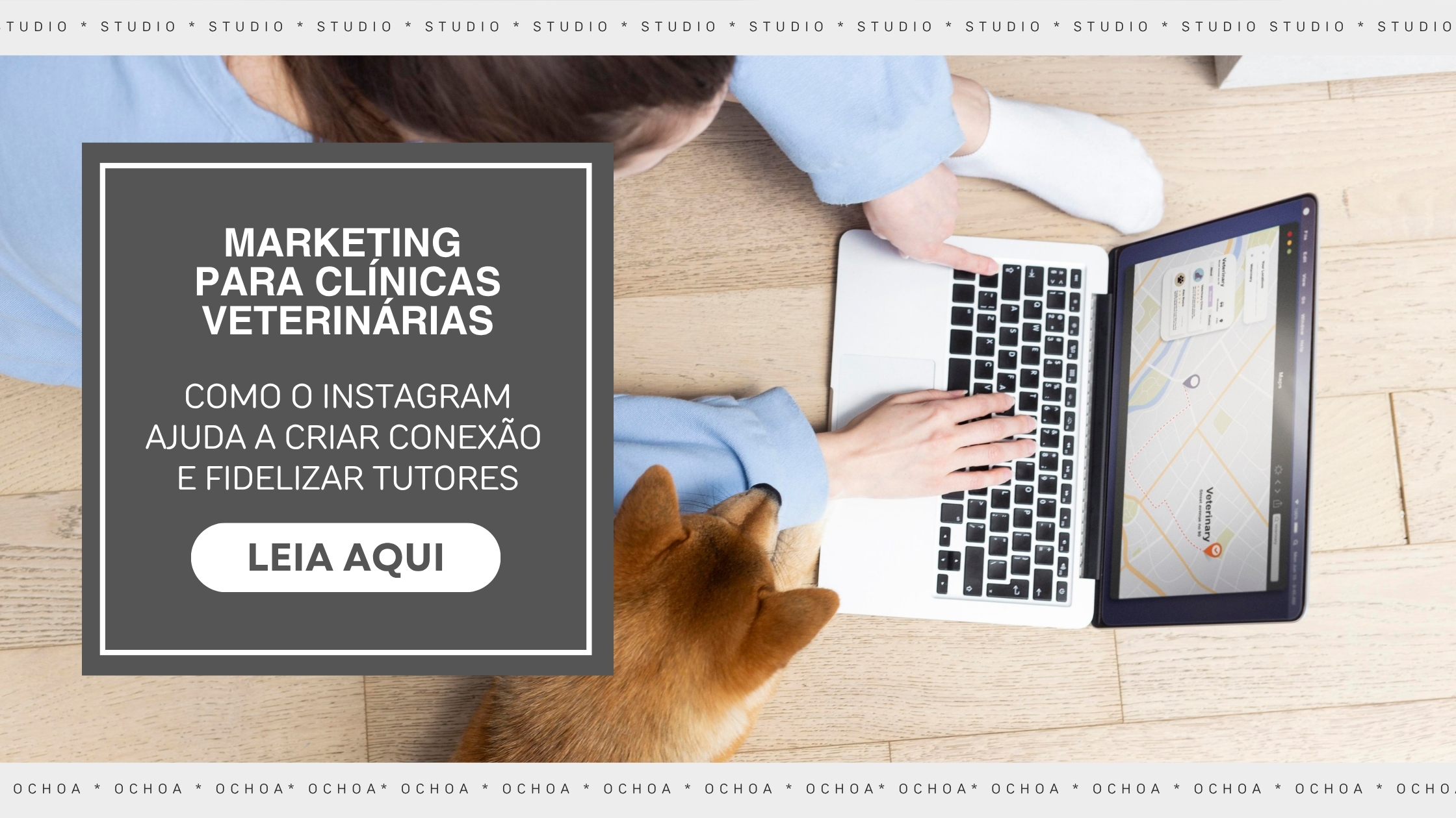 Marketing Para Clínicas Veterinárias: Como O Instagram Ajuda A Criar Conexão E Fidelizar Tutores